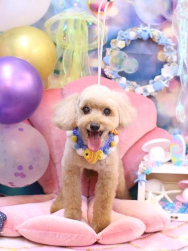 20240824うたちゃん